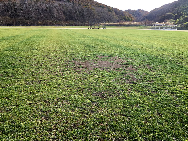 その他　芝生補修・維持管理