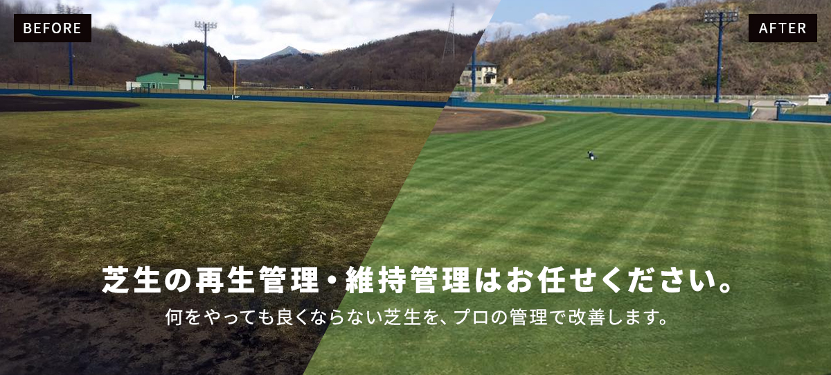 芝生の再生管理・維持管理はお任せください。