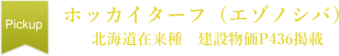 ホッカイターフ（エゾノシバ）